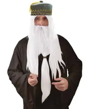 WHITE Wizard Wig and Beard