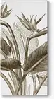 Canvas Floral Wall Art Home Paintings & Prints Vintage Paradise Flowers Modern B