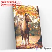 Paint By Numbers Kit Horse Animal Wall Draw Painting Art Home Beginner Canvas