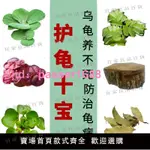 【宜家良品百貨】龜缸魚缸水質穩定劑凈化水質植物水草小烏龜曬臺造景裝飾用品全套