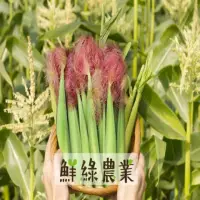 在飛比找momo購物網優惠-【鮮綠農業】雲林紅鬚玉米筍10斤x1箱(產地直送_鮮嫩帶葉)