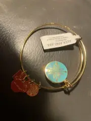 Alex and Ani Arrows of Friendship Silver Tone Turquoise Disc Charm Bangle Bracel