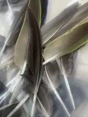 Random Feather Mix 20+ Pieces, Grey/brown Pheasant Feathers. Natural 10-12cm