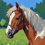 HKLIOPU Paint by Numbers for Adults,DIY Canvas Oil Painting Kit Horse for Kids or Beginner with Paint Brushes Acrylic Pigment for Gifts Home Wall Decor 16x16inch