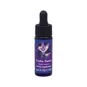 Fes Flower Essences FES Quintessentials Yerba Santa 7.5ml