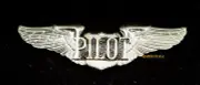 PILOT WING PRIVATE SOLO SPORT FULL SIZE HELO PLANE JET HELICOPTER PIN UP SCRIPT
