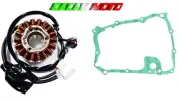 Stator + Gasket MBK EVOLIS 400 2019 2020 Resin