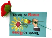 TORCH TO ROSE Fire Stage Magic Trick Flower Flame Flaming Hot Appearing Magician