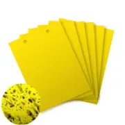 20 pc Yellow Sticky paper Insect Trap Catcher Killer Fly Aphids Wasp AU
