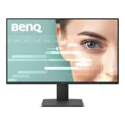 BenQ GW2491 24" Class Full HD LED Monitor - 16:9