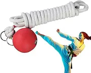 Rope Dart Trainer | Exercise Throw Rubber Ball Practice Rope Dart,Chinese Traditional Trainer, User-Friendly Martial Arts Training Tools for Workout Muscles
