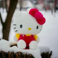 在飛比找momo購物網優惠-【HELLO KITTY】12吋KITTY繽紛絨毛款 娃娃(