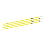 Terrasphere Agility Poles 4 Pack