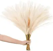 10PCS Faux Pampas Grass, 22.3" Short A ficial Pompous Grass Floral Fake Pompas Grass Branches Vase Filler Flower Ar Ment for Home Wedding Boho Decor Light Low 56.5cm/22.3 in