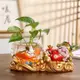精選好物 創意財神綠蘿水培花瓶透明玻璃器皿魚缸桌麵客廳辦公室擺件裝飾品 KAWF