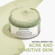 SKINTIFIC - Mugwort Mask Acne Clay Mask - Niacinamide, Salicylic, Centella - 55g