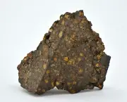 20.63g CR2 Carbonaceous Chondrite Meteorite I NWA 1180 - TOP METEORITE