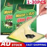 1~30X SPECIAL OFFERS Mouse Traps Rat Mice Mouse Trap Board Snare Catcher Board