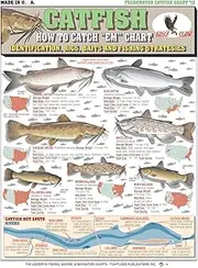 How to Catch 'Em Catfish Identification #13 (Identification, Rigs, & Fishing Strategies) - Waterproof Quick Reference Guide | Portable & Built to Last | Double-Sided & Easy to Read