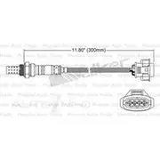 PAT Oxygen Sensor - EGO-020