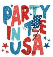 Sublimation Print Party In The USA Ready to Press Heat Transfer