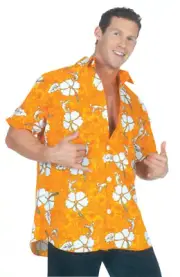 Men's Hawaiian Shirt - Underwraps Costumes
