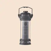 CARGO Dual Light Mini, Grey