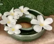 Jungle Jack's Beautiful Green Pansy / Plumeria Bloom Ring Donut Vase