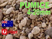 Premium Pumice Stone Hydroponic conditioner Horticulture Propagation Seed 4-20mm