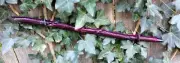 Wand - Natural Vine Twisted Maple - Witch / Wizard - Pagan - Larping - Ren Faire
