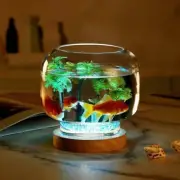 Aquarium Small Round Fish Tank Micro Bowl Landscaping Fighting Fish Glass Tank