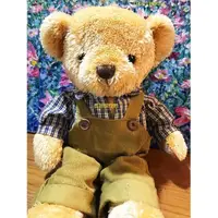 在飛比找momo購物網優惠-【TEDDY HOUSE泰迪熊】泰迪熊玩具玩偶公仔絨毛娃娃丹