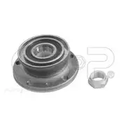 GSP Wheel Hub Assembly - 230118K
