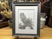 Drawing of a an Owl Bird Wildlife Nature Graphite Pencil Art Sketch Picture