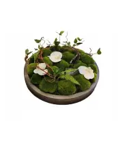 [Vicky Yao] Love Nature Preserved Moss in Green