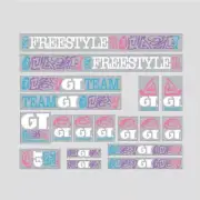 GT - 1989 Pro Freestyle TOUR TEAM - White on Clear decal set - Old school bmx