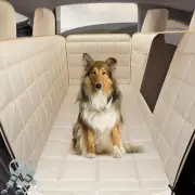 Dog Car Hammock for 2020-2023 Tesla Model Y/2018-2023 Model 3,Dog Car Seat Cover