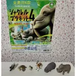 【快樂小站】新品 T-ARTS (扭蛋) 熊貓之穴 戽斗動物園P4 每套共6款290元＜現貨＞