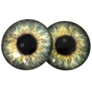 Pair Olive Green Human Glass Eyes Jewelry Doll Taxidermy Flatback Cabochons
