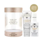 Maine Beach Natural Wonders Ligurian Honey Gift Set