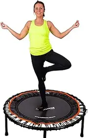 Fit Bounce Pro Bungee Rebounder Australia | Assembled | Half Folding | Silent & Beautifully Designed Pro Indoor Mini Trampoline for Adults & Kids | DVD & Online Workouts