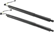 2PCS 81831S1100 81841S1100 Rear Left Right Tailgate Electric Support Rods,Compatible With Hyundai Santa Fe F19 Georgia 2019-2021