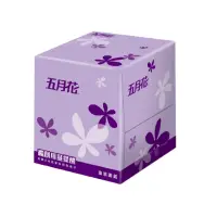 在飛比找momo購物網優惠-【MAY FLOWER 五月花】盒裝面紙-直立式(96抽*6