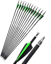 12 Pcs 30 Inch Archery Carbon Arrows Spine 500 Practice Hunting Arrows Removable Field Points Fletched Plastics Vanes