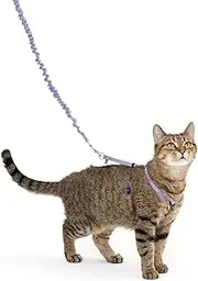 PetSafe Come with Me Kitty Harness and Bungee Leash, Medium, Lilac