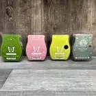 Lot Of 4 NEW Scentsy Wax Bars Multiple Scents, Fiddle Leaf Fig, Business Casual