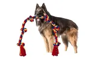 Unbreakable Dog Rope Toy for Large Breeds - BLINCOO Elite 48" Tug of War Heavy