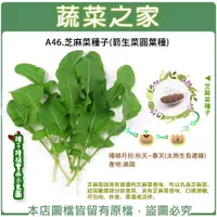 在飛比找樂天市場購物網優惠-【蔬菜之家】A46.芝麻菜種子(箭生菜圓葉種)(共有2種包裝