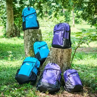 【Coleman】健行者15L(背包 登山包 運動背包)