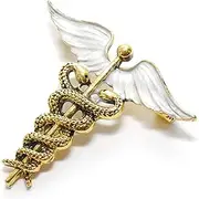 [COCORIBBON] Enamel Medical Symbol Caduceus Brooch Pins, Nurse Accessories For Doctor Nurse Gift Brooches, enamel